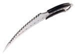 Didelis Fiksuota Geležte Karambit Peilis - Image 11