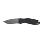 Kershaw Blur 1670BW sulankstomas peilis