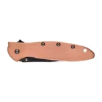 Sulankstomas peilis Kershaw Leek 1660CU - Image 4