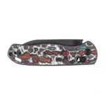 Sulankstomas peilis Kizer Drop Bear Ki3619A5 - Image 4